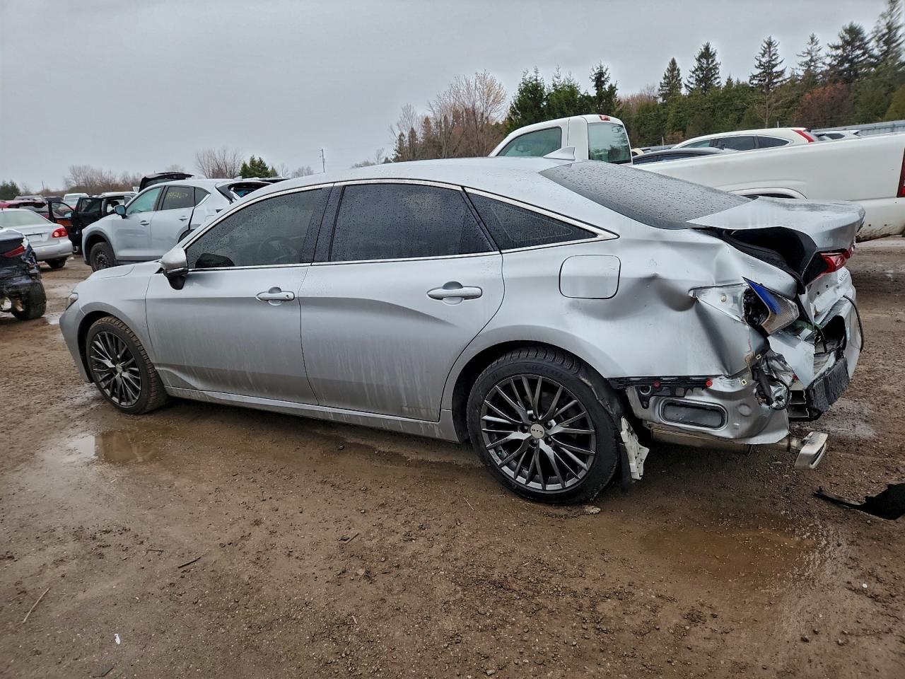 2019 TOYOTA Avalon