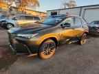 2024 LEXUS NX 350