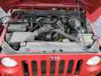 2010 JEEP WRANGLER