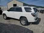 2023 TOYOTA 4Runner
