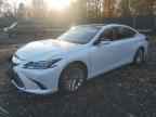2020 LEXUS ES 350