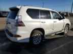2019 LEXUS GX 460