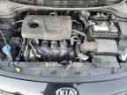 2019 KIA RIO