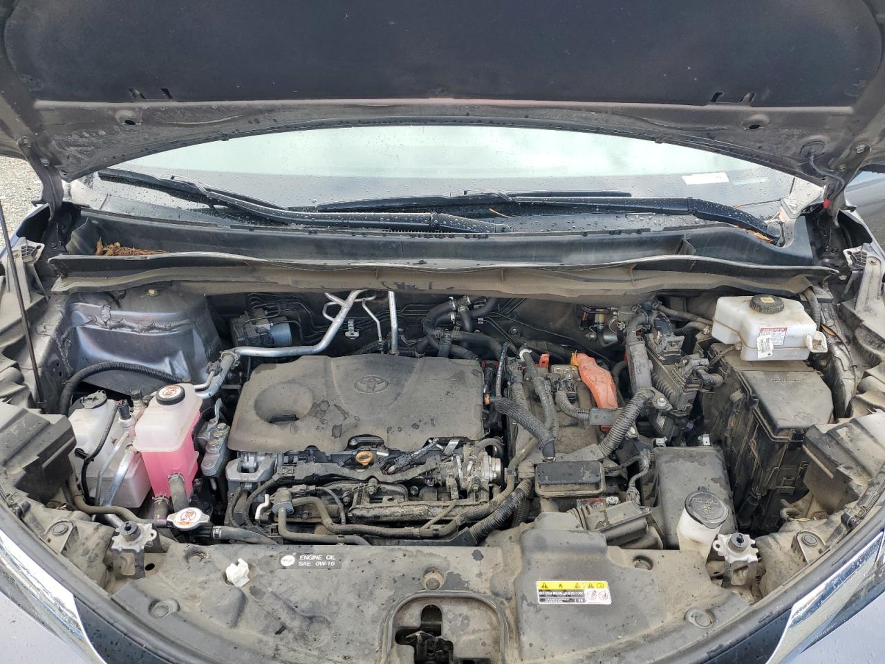 2022 TOYOTA SIENNA