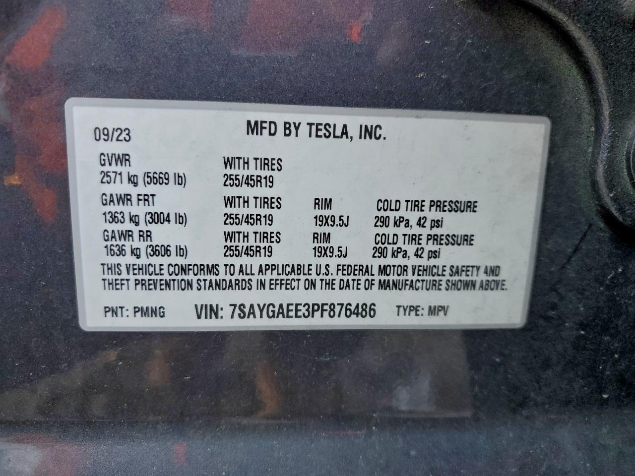 2023 TESLA MODEL Y