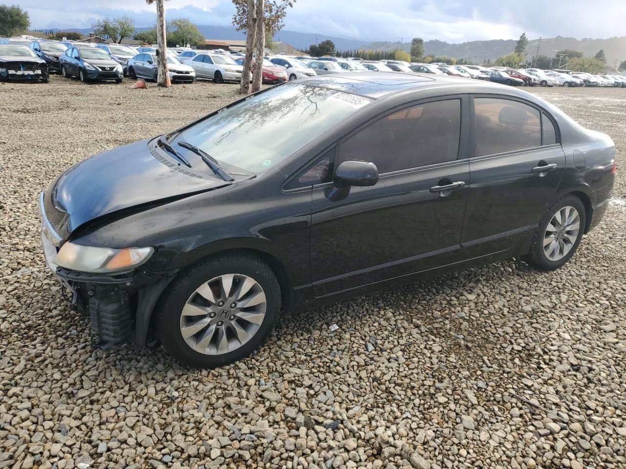 2010 HONDA CIVIC