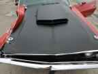 1971 DODGE Challenger