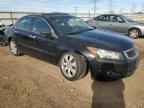 2009 HONDA ACCORD