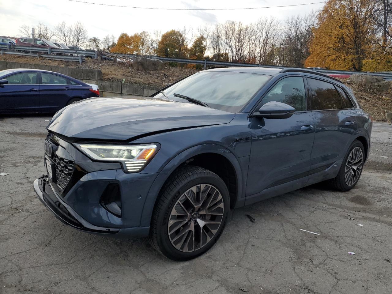 2024 AUDI Q8