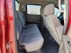 2023 NISSAN Frontier
