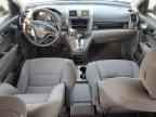 2010 HONDA CR-V