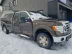 2009 FORD F-150