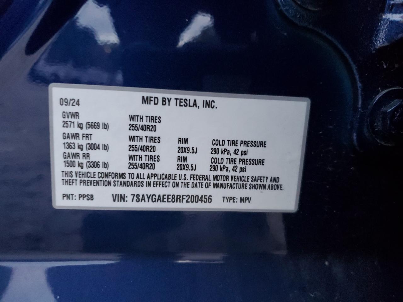 2024 TESLA MODEL Y