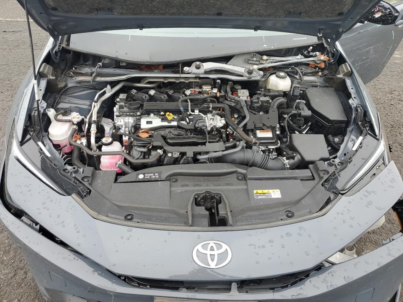 2023 TOYOTA PRIUS