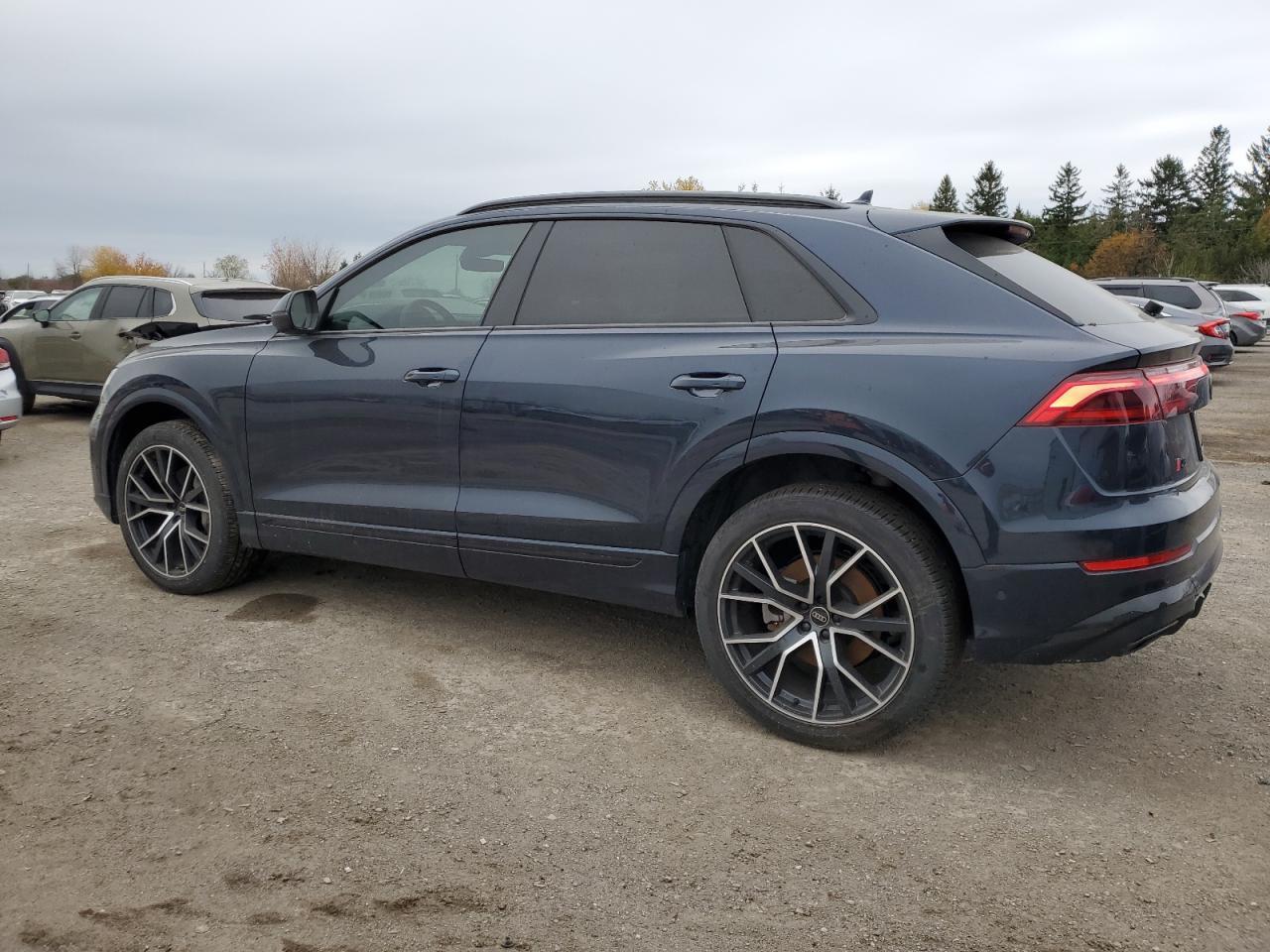2025 AUDI Q8