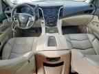2019 CADILLAC Escalade ESV