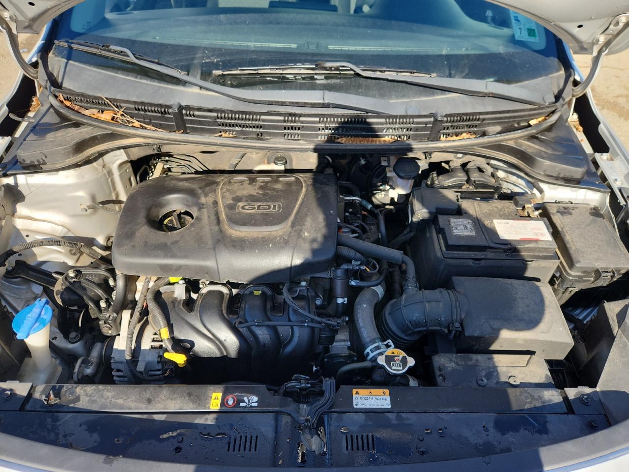 2019 KIA RIO
