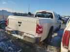 2009 DODGE Dakota