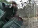 2009 FORD ESCAPE