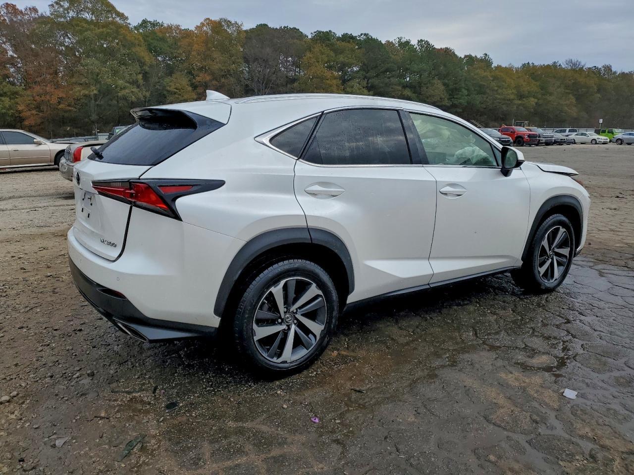 2018 LEXUS NX 300