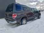 2009 FORD F-150
