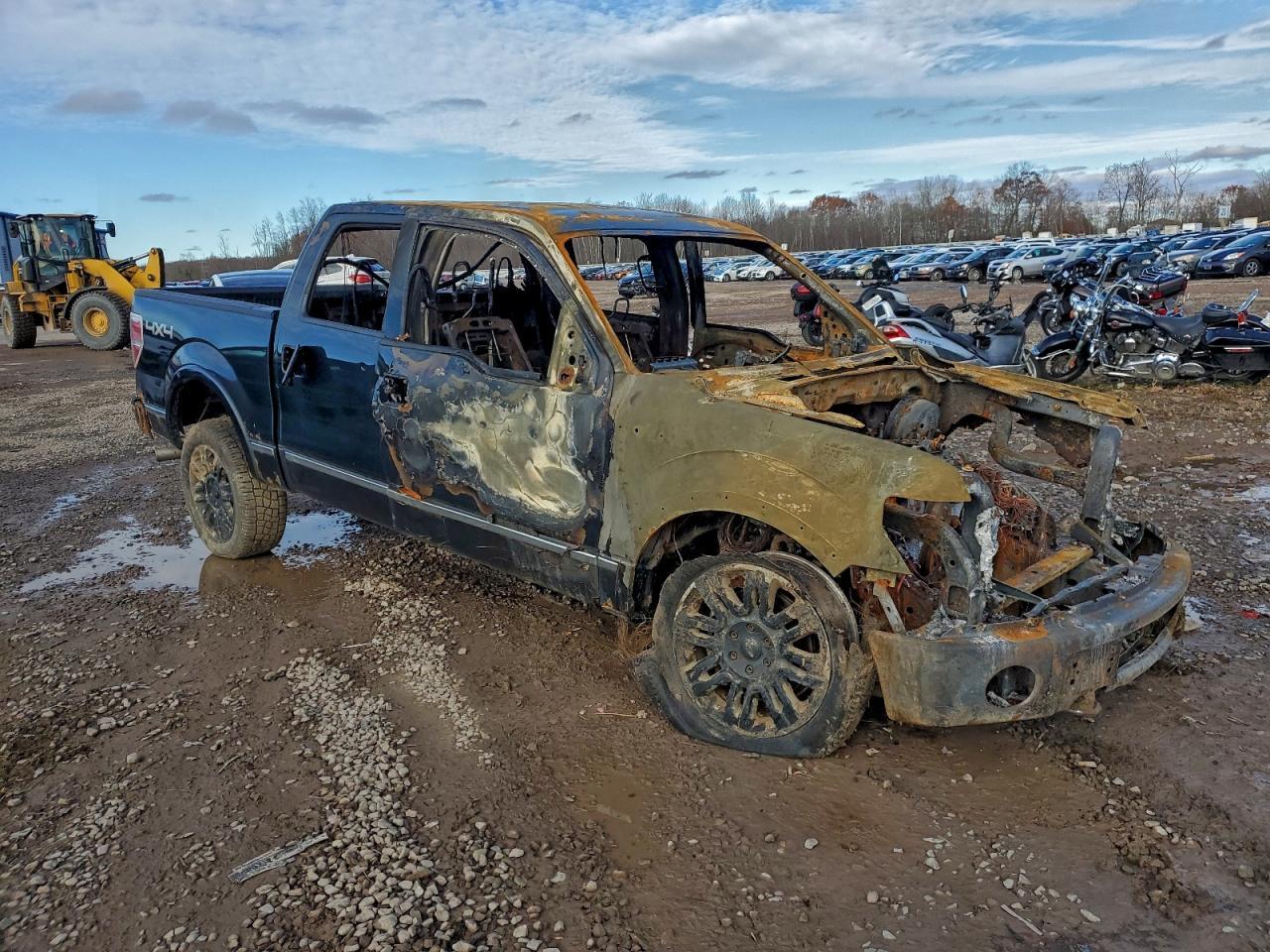 2010 FORD F-150