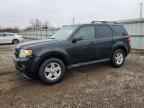 2012 FORD Escape Hybrid