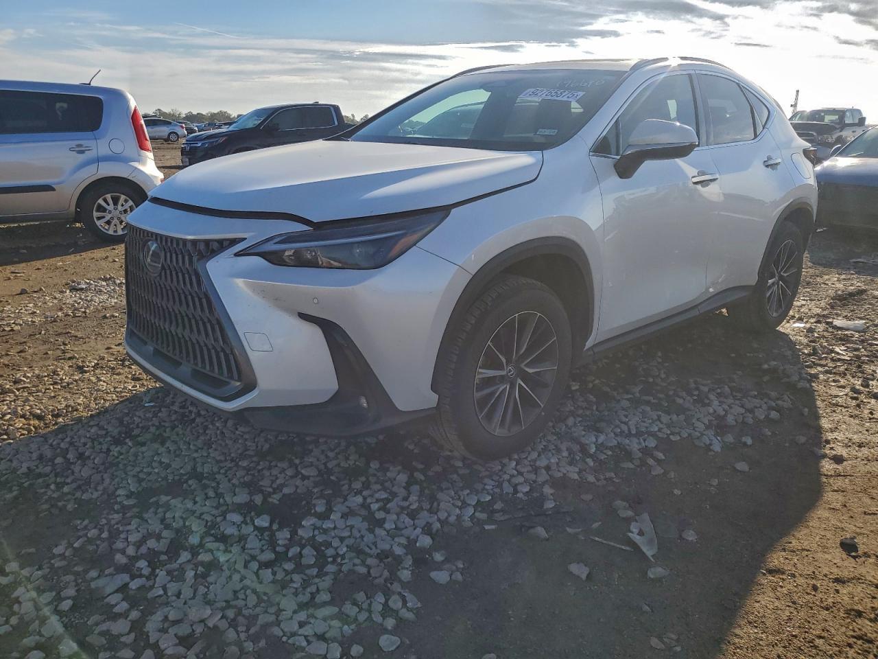 2024 LEXUS NX 250