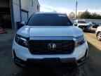 2022 HONDA Passport