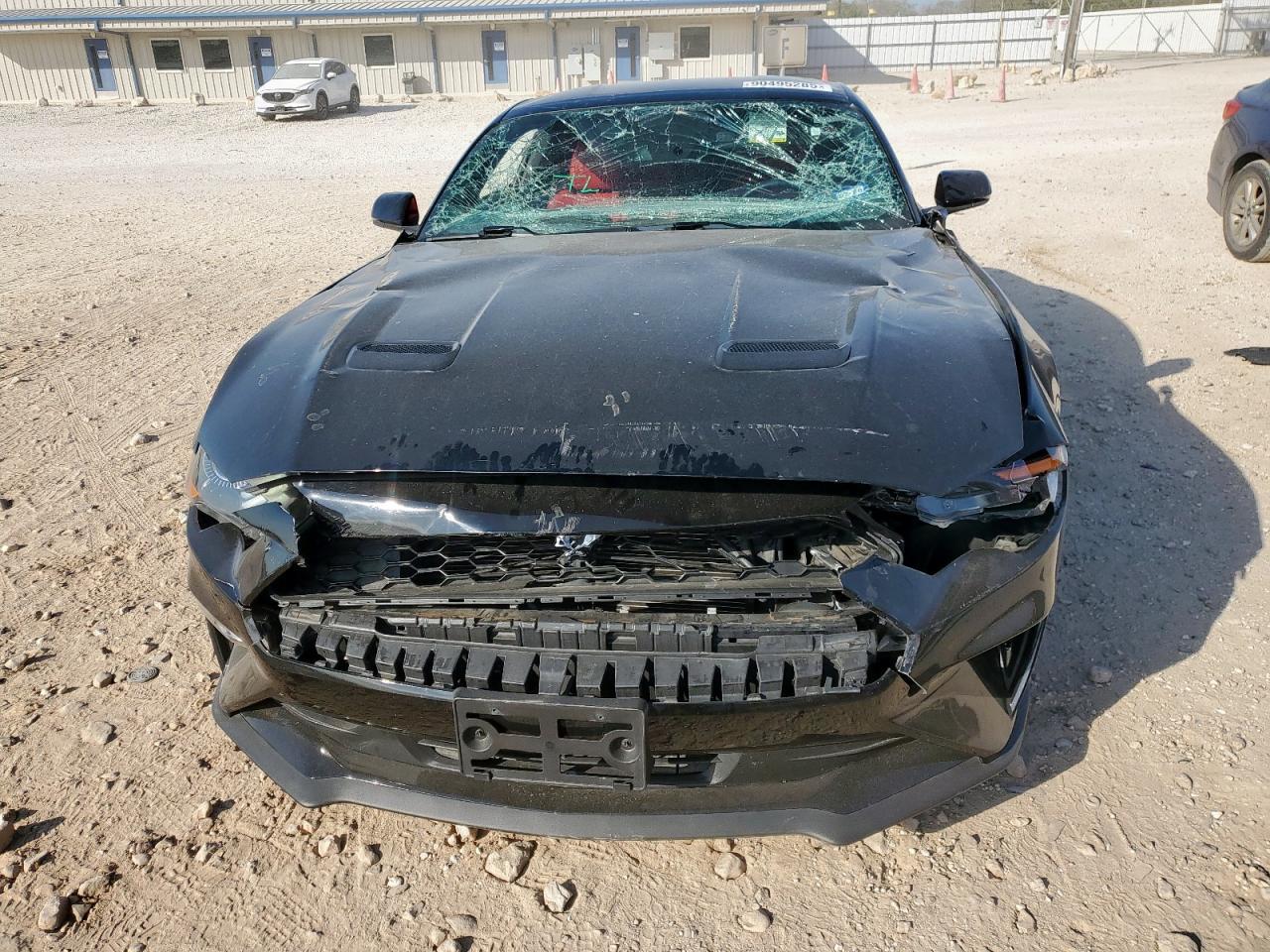 2019 FORD MUSTANG