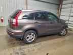 2010 HONDA CR-V