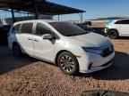 2023 HONDA ODYSSEY