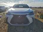 2024 LEXUS NX 250