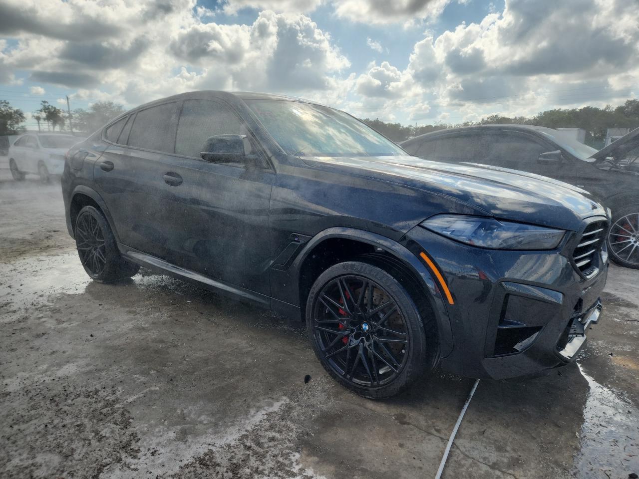 2025 BMW X6