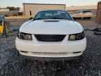 1999 FORD MUSTANG