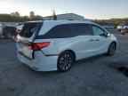 2022 HONDA ODYSSEY