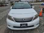2010 LEXUS HS 250h
