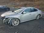 2013 NISSAN Maxima