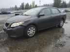 2009 TOYOTA COROLLA