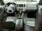 2007 FORD ESCAPE