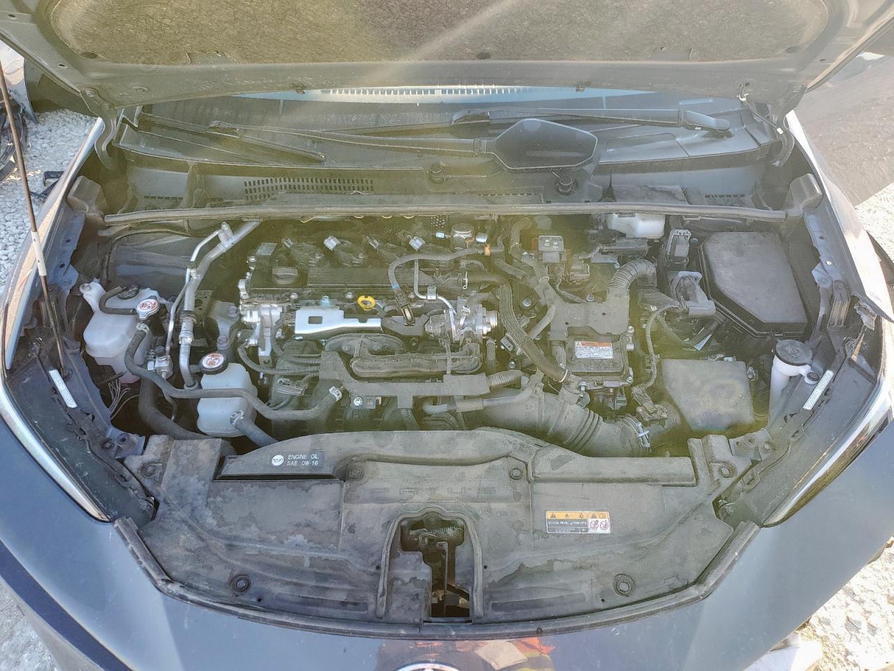 2024 TOYOTA PRIUS