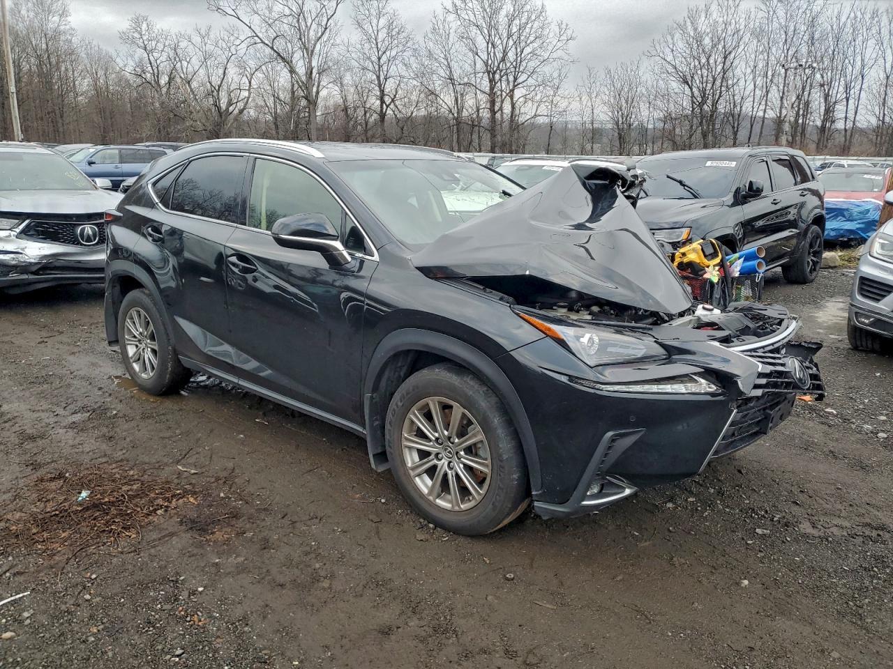 2021 LEXUS NX 300
