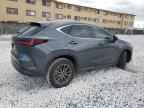 2025 LEXUS NX 250
