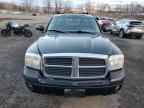 2006 DODGE Dakota
