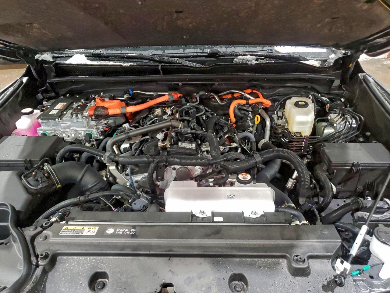 2025 TOYOTA 4Runner