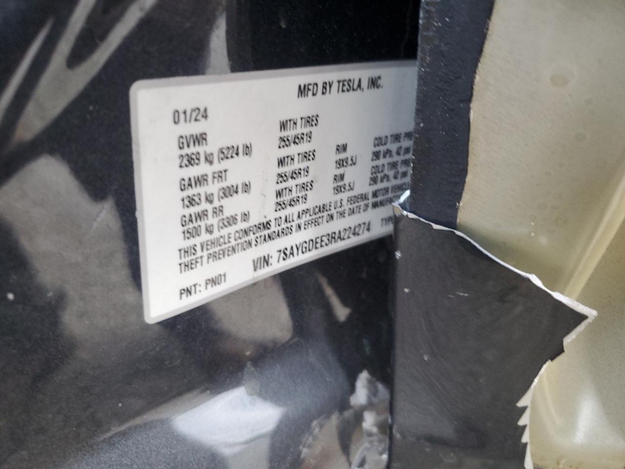 2024 TESLA MODEL Y