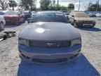 2005 FORD MUSTANG
