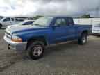2000 DODGE Dakota