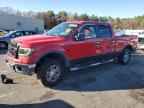 2009 FORD F-150 Lightning