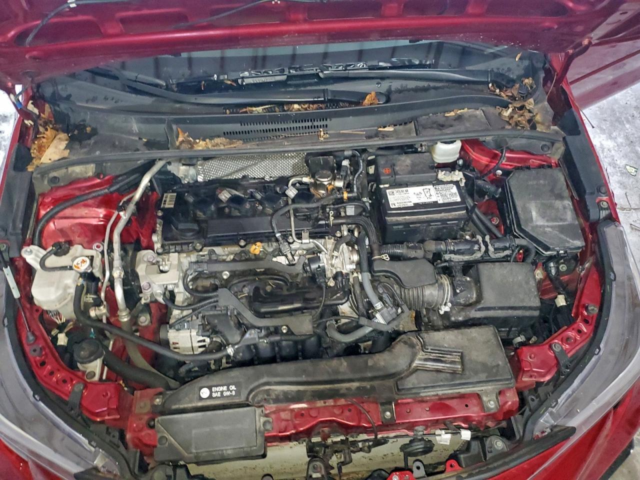 2023 TOYOTA COROLLA